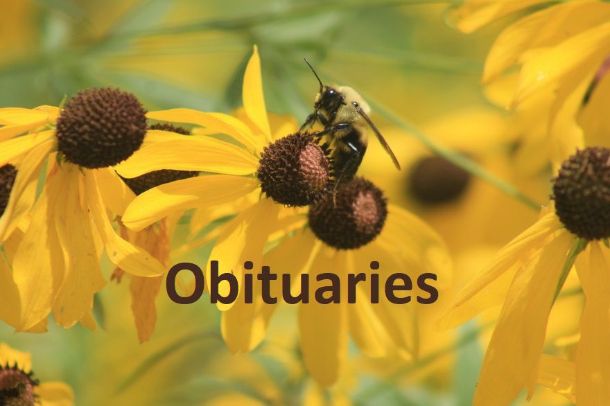 obits.jpg